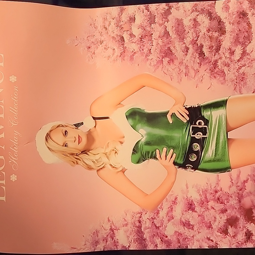 Leg Avenue Green Holiday Costume